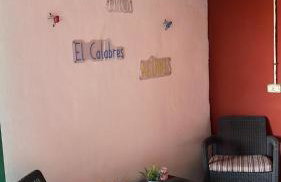 CASA GRANDE FINCA EL CALABRES - Foto 27