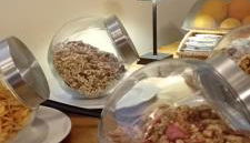 PODERE PALAZZO ILLICA Agriturismo - Foto 4