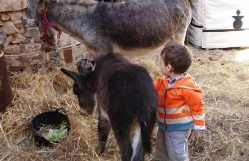 Apartamentos en sierra de gata ALMA - Foto 10