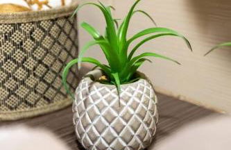 Casa da Tia Douro - Foto 8