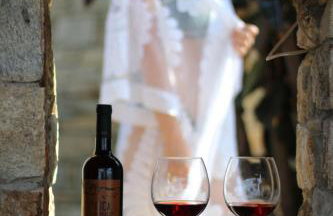 Toxotis Villas - Foto 64