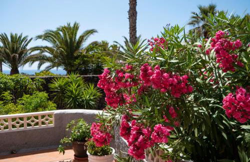 Finca Afortunada - Foto 12