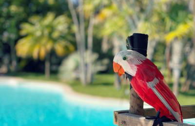 Quinta das Tílias - Foto 8