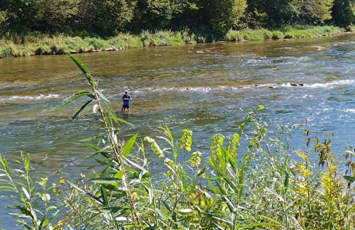 Sanriver Apartamenty - Foto 19