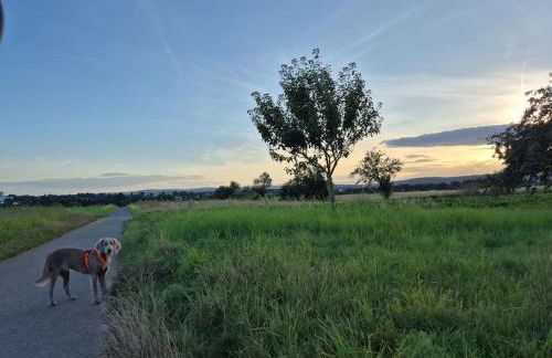 Bungalow, Uneinsehbar, 8 Personen maximal, 3 Personen oben, 5 unten - Foto 24