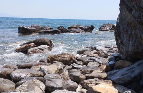 Scario house - Foto 14