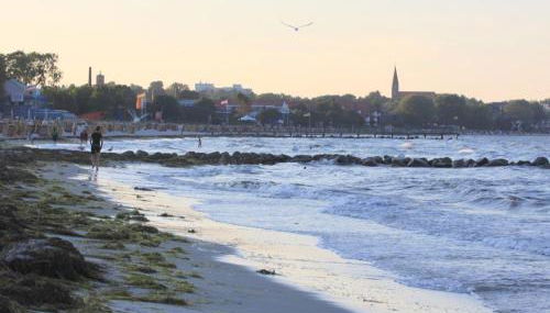 Oase Friedensthal - Foto 4