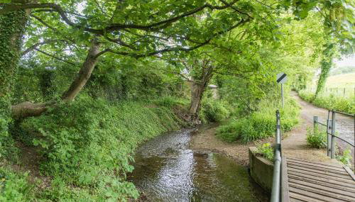 Vine Cottage by Bloom Stays - Foto 3