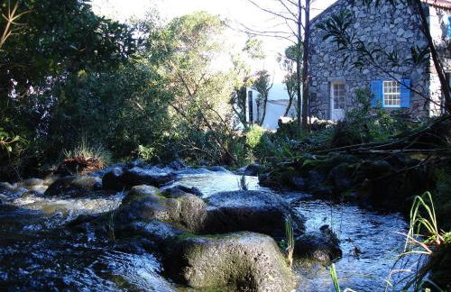 Quinta Da Ribeira Da Urze - Photo 14