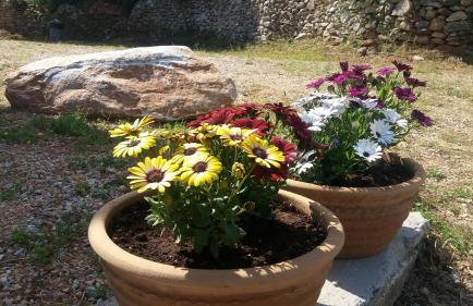 Seastone Villas - Foto 59