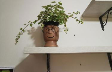 Appartamento le Magnolie - Foto 8