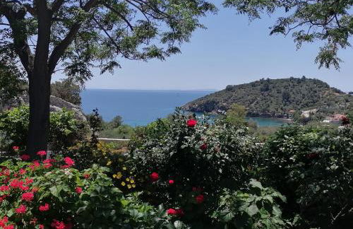 Studios Ioanna Limnionas Samos - Foto 46