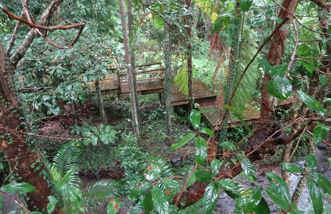 Treetops Accommodation Montville - Foto 56