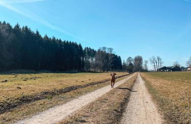 Your Home Base - Vacation & Work close to Munich - Foto 18