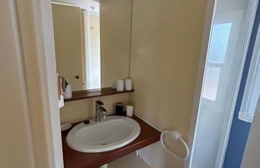 Salamandre - Foto 24