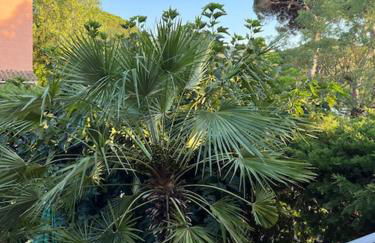 Superbe appartement terrasse et parking privé - Photo 39