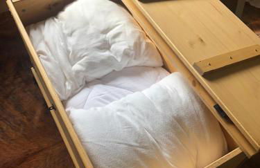 Beautiful apartment in independent chalet, facing mythical Col du Galibier - Foto 10