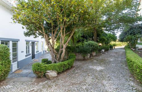 Casa Fundeira - Quinta dos Esconhais - Foto 16