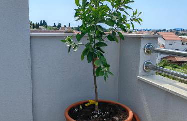 Residence Family Plazina - Place 1 & 2 - Foto 41