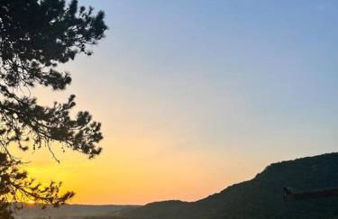 Castelnaud vue - Foto 18