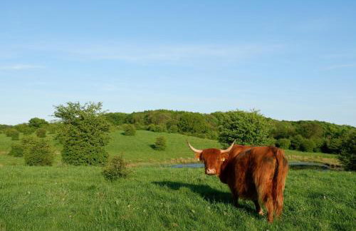 Appartement Reethus Koppelkiek - kompakt & gemütlich mit Terrasse - Foto 17