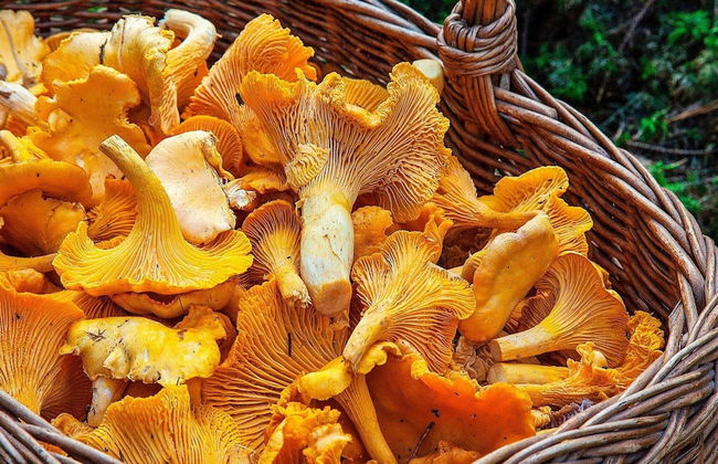 7 Person Holiday Home in Algaras-by Traum - Foto 26