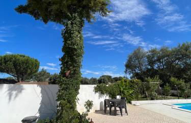 Casa do Cedro no Campo - Foto 5