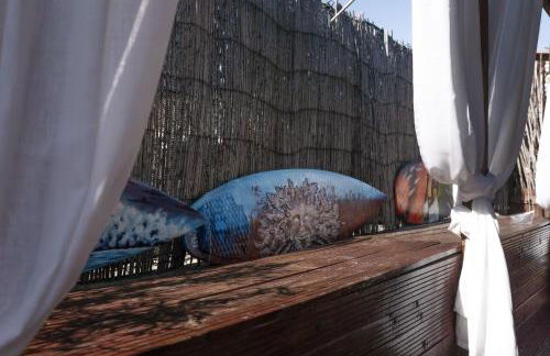 João Jungle - Foto 53