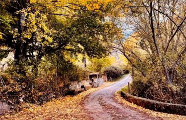 Alojamiento Rural Los Gancheros - Foto 67