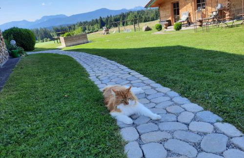 Ferienwohnung am Wirtshof - Foto 16