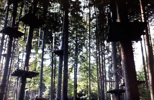 Ferienwohnungen Herbst - Photo 11