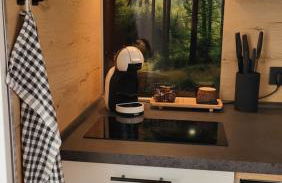 FeWo Gretel Schönwald - Foto 11