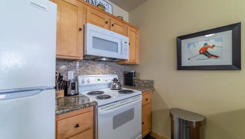 Ski in/Out 1B/1BA w/ View - Pool, Jacuzzi, Parking - Foto 3