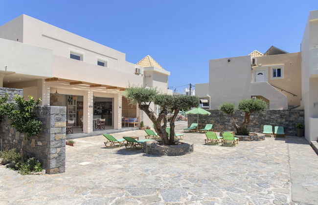 Olive Grove - Foto 13