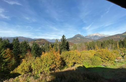 FeWo Waldkauz - Foto 24