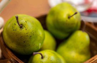 Charming Country Farmhouse Near Natural Bridge - Foto 22