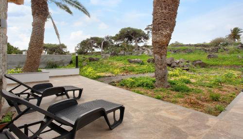 Casa Do Vinho - Foto 3