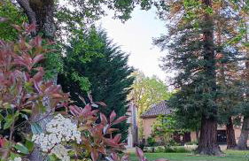 Le Moulin du Comte - chambres privées en gîte - Foto 23