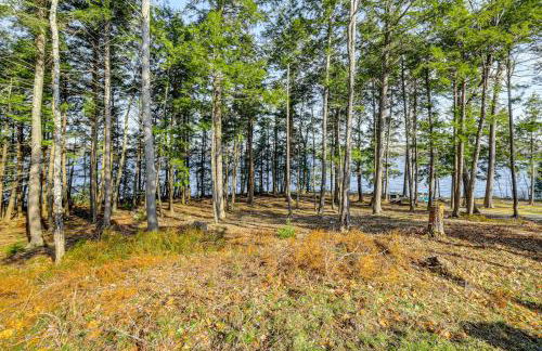 Waterfront Anglers Oasis in The Maine Highlands! - Photo 30