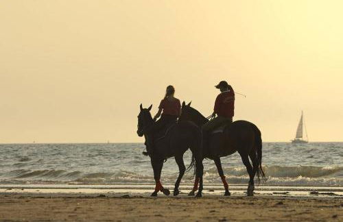 La Maison Bleue au coeur des Plages du Débarquement - Photo 50