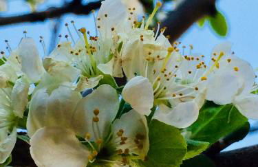 Casa Grazia Magreglio, Bellagio, Lake Como - Foto 73