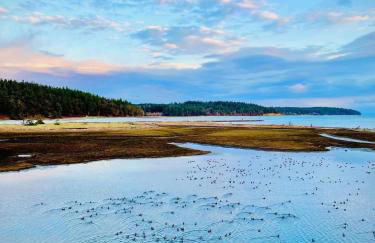 Beautiful Oceanview Retreat 2 Bedroom Home - Foto 1