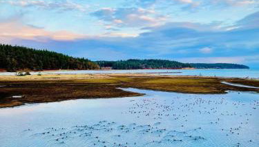 Beautiful Oceanview Retreat 2 Bedroom Home - Foto 1