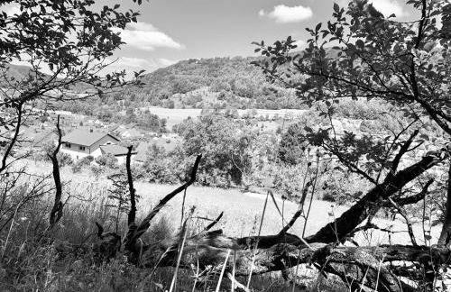 Ferienwohnung - Am Löwenpfad - Bad Ditzenbach-Gosbach - Foto 18