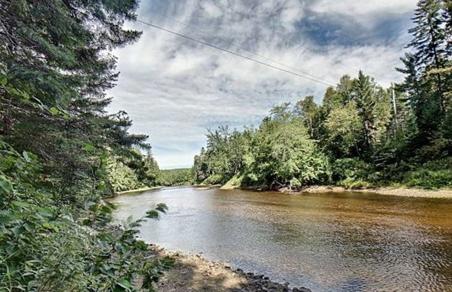 Le Givre des bois - Foto 22
