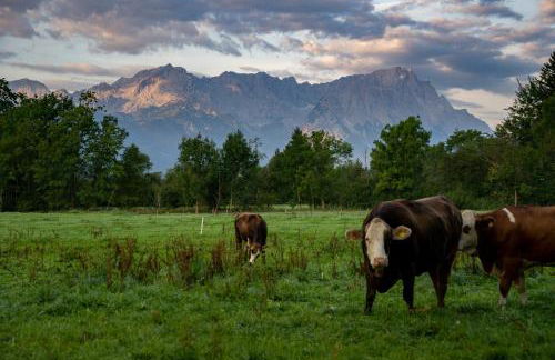 Das Bergquartier - Ferienwohnung Rabenkopf - Foto 25