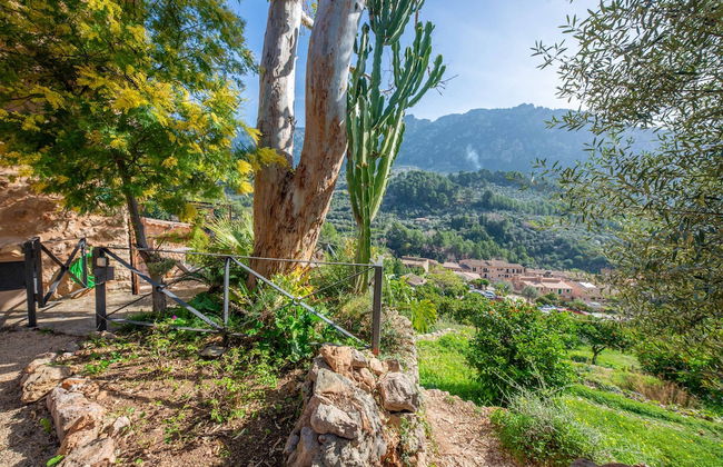 Sa Teulera Fornalutx - Photo 34