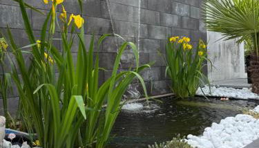 Luxury Apartment Amina - Foto 3