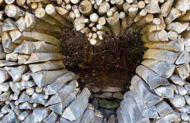 Apartment Rose - Photo 24