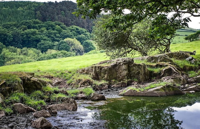 Hapus Yurt - Two Beautiful Yurts and Barn Cottage - Foto 21